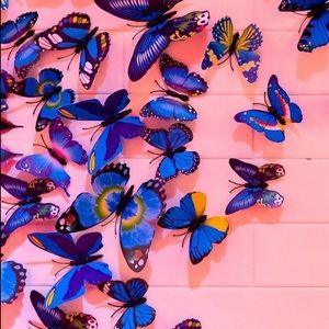 Meet your Posher, Sky